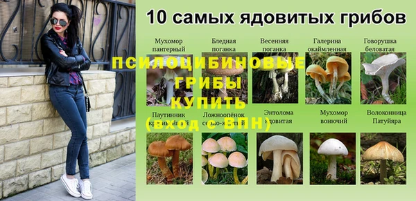 гашик Беломорск