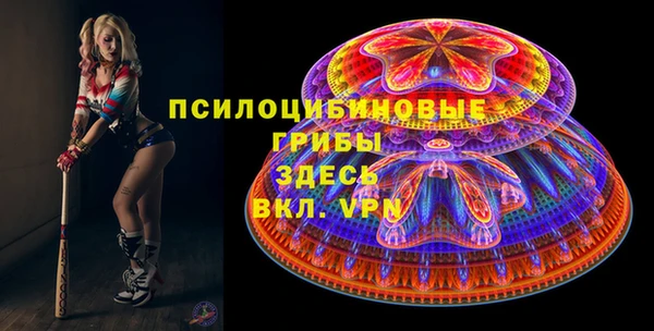 apvp Белокуриха