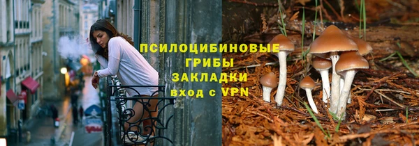 apvp Белокуриха