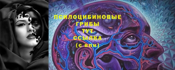 гашик Беломорск