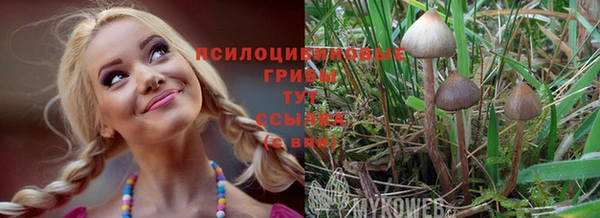 гашик Беломорск