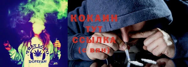 apvp Белокуриха